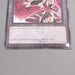 Yu-Gi-Oh Token Akiza Izinski TK03-JP013 Rare Black Rose MINT Japanese s846 | Merry Japanese TCG Shop