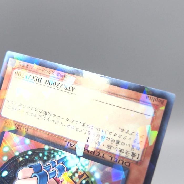 Image #7