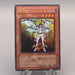 Yu-Gi-Oh Nurse Reficule the Fallen One GX05-JP001 Promo 2007 M-NM Japanese u354 | Merry Japanese TCG Shop