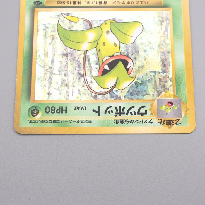 Pokemon Card Victreebel Lv.42 No.071 Old Back Holo Rare NM Japanese r957 | Merry Japanese TCG Shop