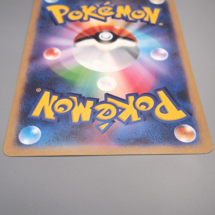 Pokemon Card PokeLun TV's Pikachu & Friends JUMBO S-P Promo EX Japanese JB165 | Merry Japanese TCG Shop