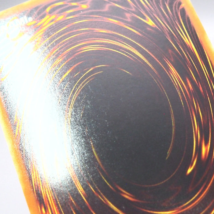 Image #9