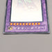 Yu-Gi-Oh Rainbow Neos PTDN-JP044 Ghost Rare 2007 NM-EX Japanese u086 | Merry Japanese TCG Shop