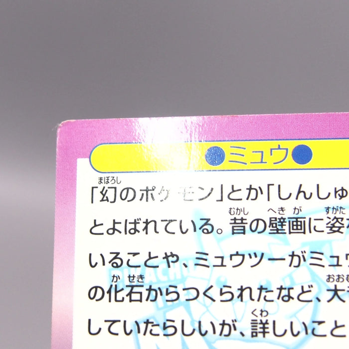 Image #10