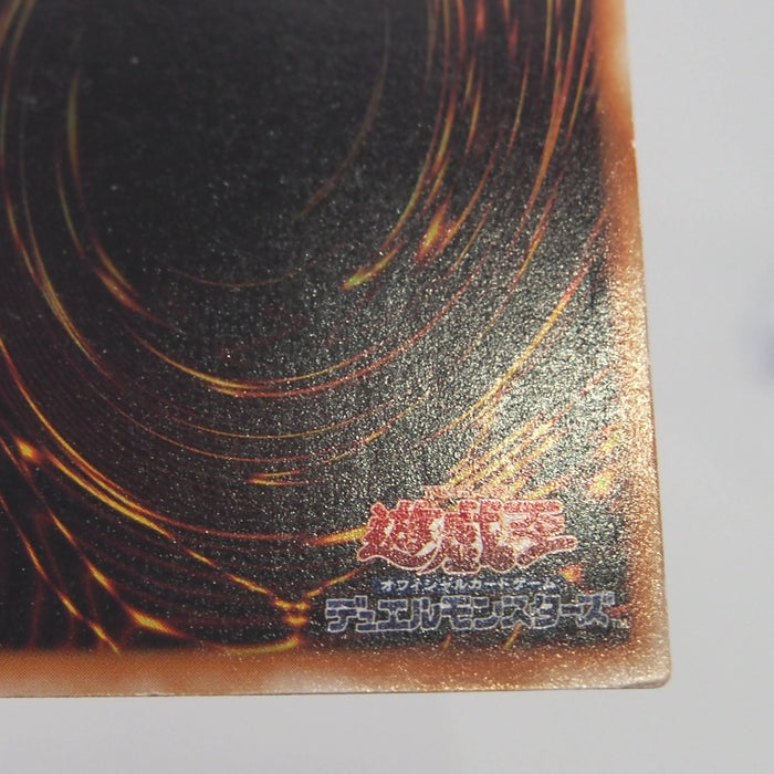 Image #12