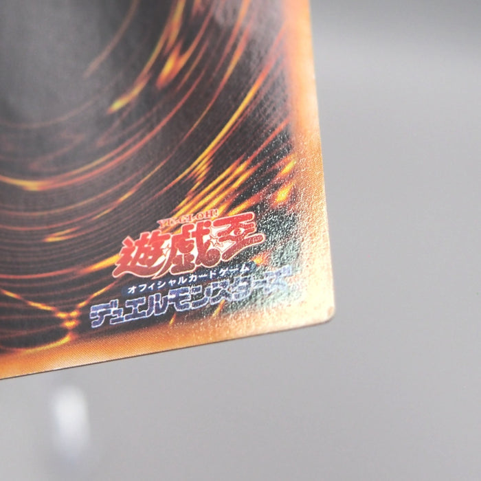 Image #17