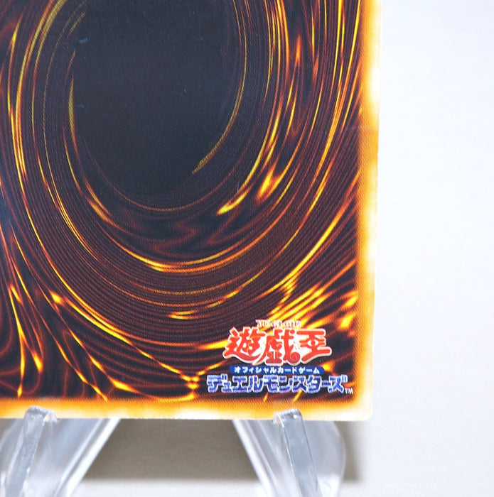 Image #11