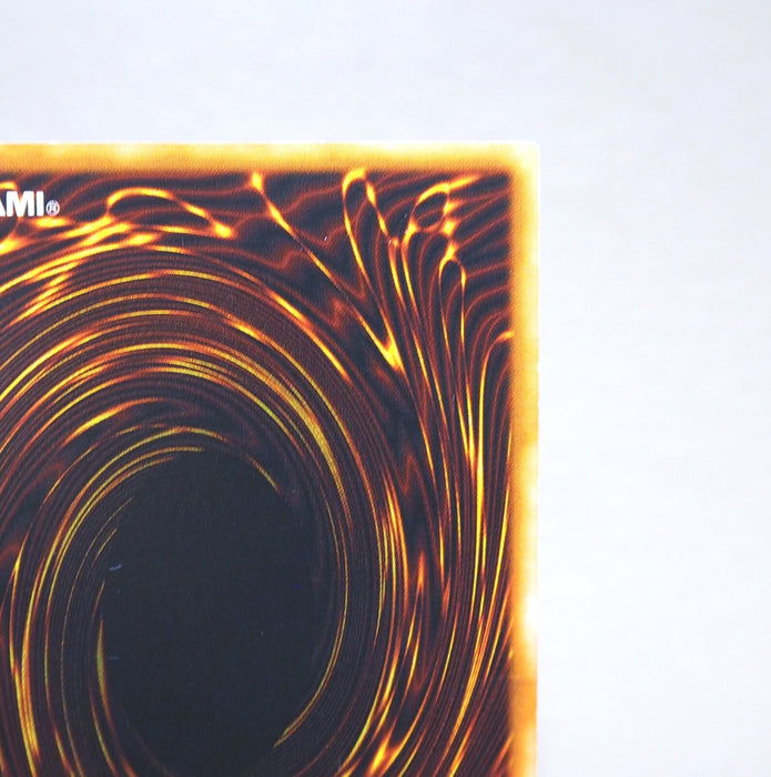 Image #9