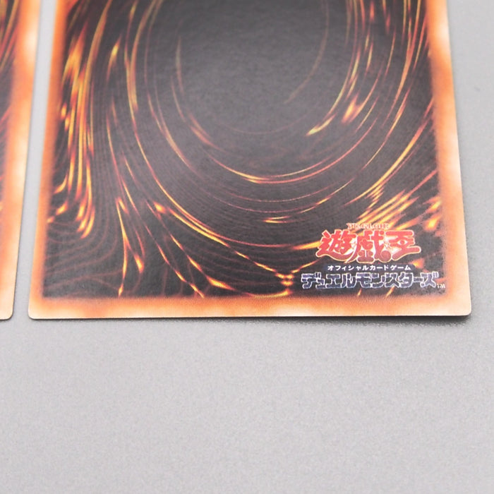Image #10