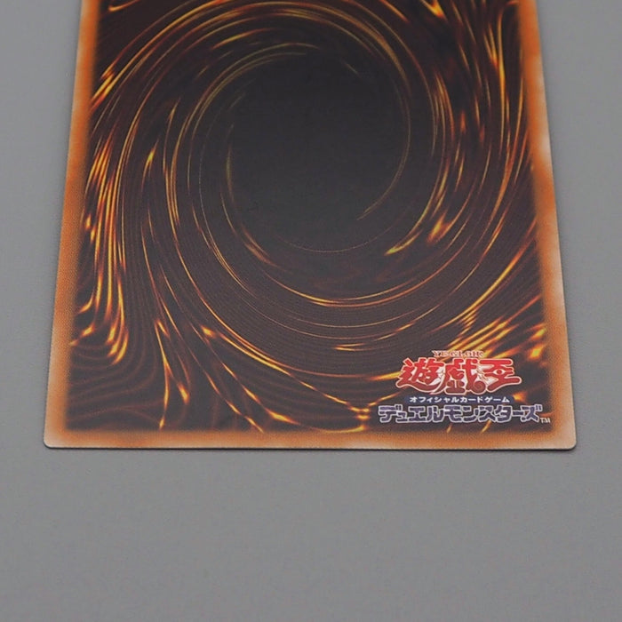 Yu-Gi-Oh Dark Magician Girl 20TH-JPC55 Secret Rare 2019 MINT-NM Japanese n411 | Merry Japanese TCG Shop