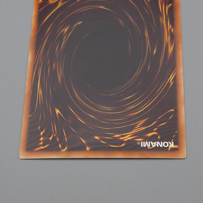 Yu-Gi-Oh Dark Rebellion Xyz Dragon NECH-JP053 Ghost Rare MINT Japanese q472 | Merry Japanese TCG Shop