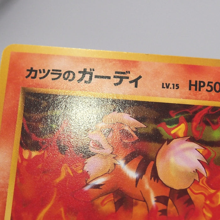 Image #7