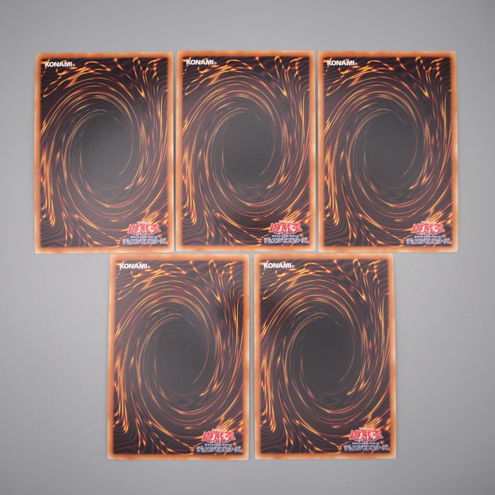 Yu-Gi-Oh Duel Disc Yusei Ver.DX 5Cards Complete 5D's Ultra MINT Japanese s064 | Merry Japanese TCG Shop