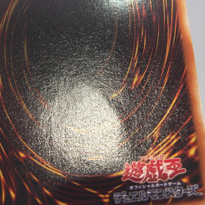 Image #12