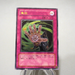 Yu-Gi-Oh yugioh Muko Null and Void SOD-JP057 Ultimate Rare NM-EX Japanese j315 | Merry Japanese TCG Shop