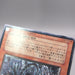 Image #12