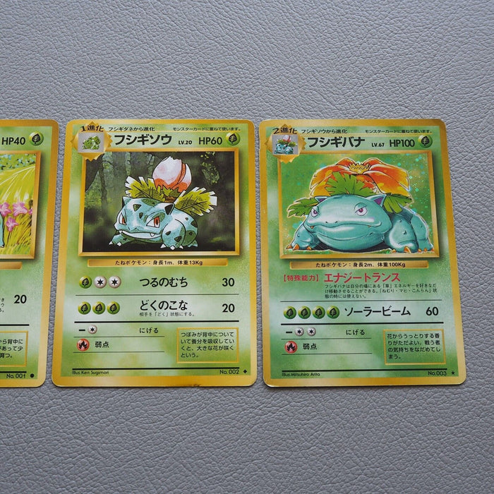 Pokemon Card Venusaur Evolution No.003 Old Back Holo 1996 Nintendo Japanese i903 | Merry Japanese TCG Shop