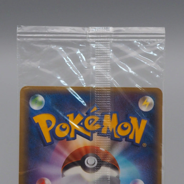 Pokemon Card Rayquaza 041/PCG-P Promo Sealed Unopened Japanese P298 | Merry Japanese TCG Shop