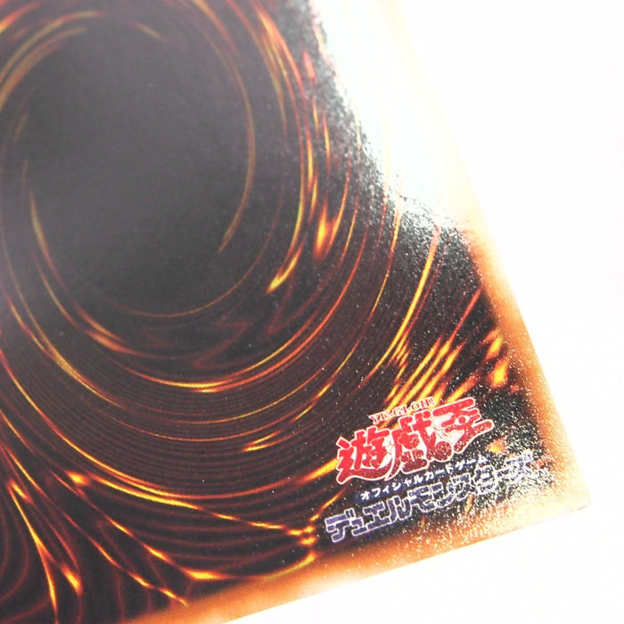 Image #12