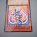 Yu-Gi-Oh Dark Magician Girl MVPL-JP001 KC Rare Promo 2016 MINT Japanese r827 | Merry Japanese TCG Shop
