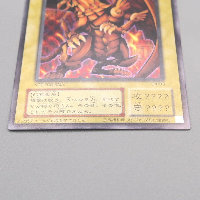Image #12