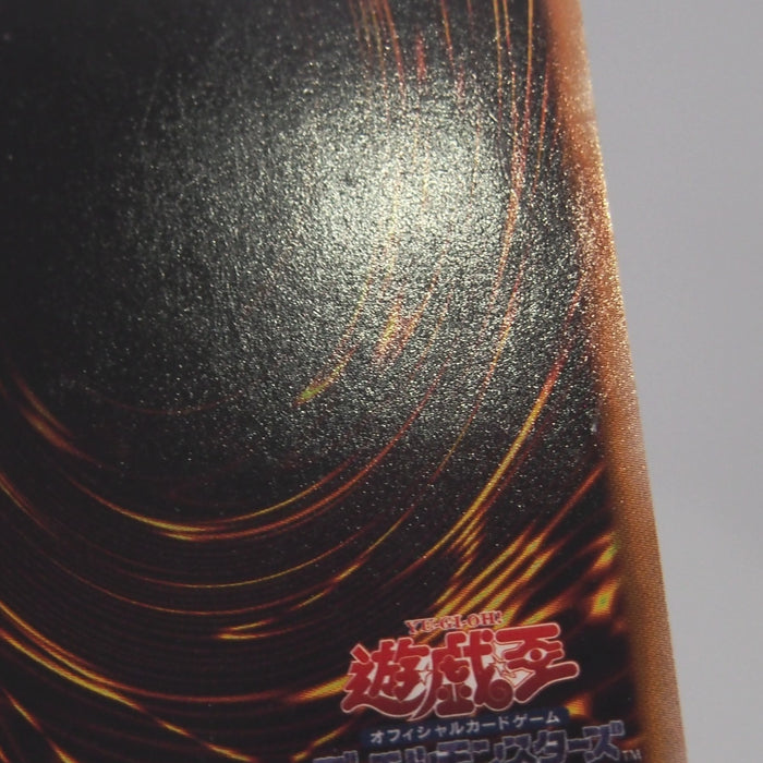 Image #10