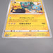 Pokemon Card PokeLun TV's Pikachu & Friends JUMBO S-P Promo NM-EX Japanese JB166 | Merry Japanese TCG Shop