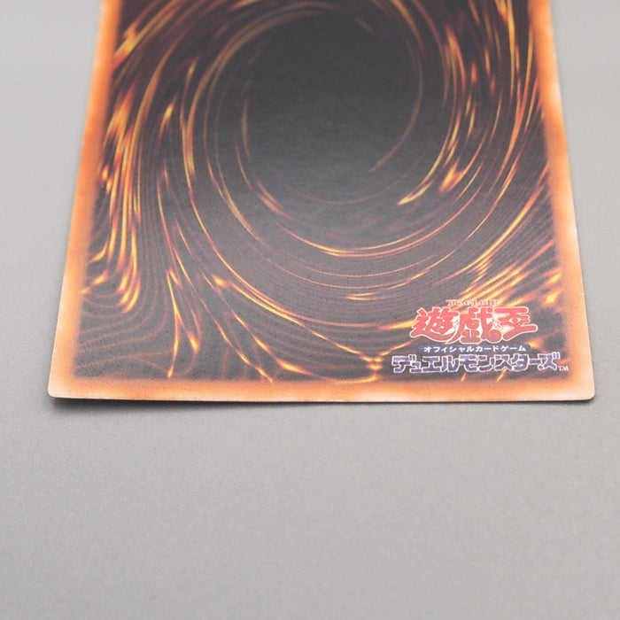 Image #10