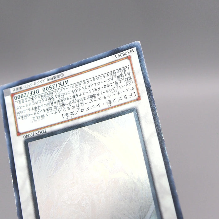 Image #10