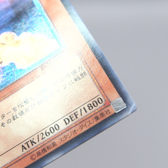 Image #7