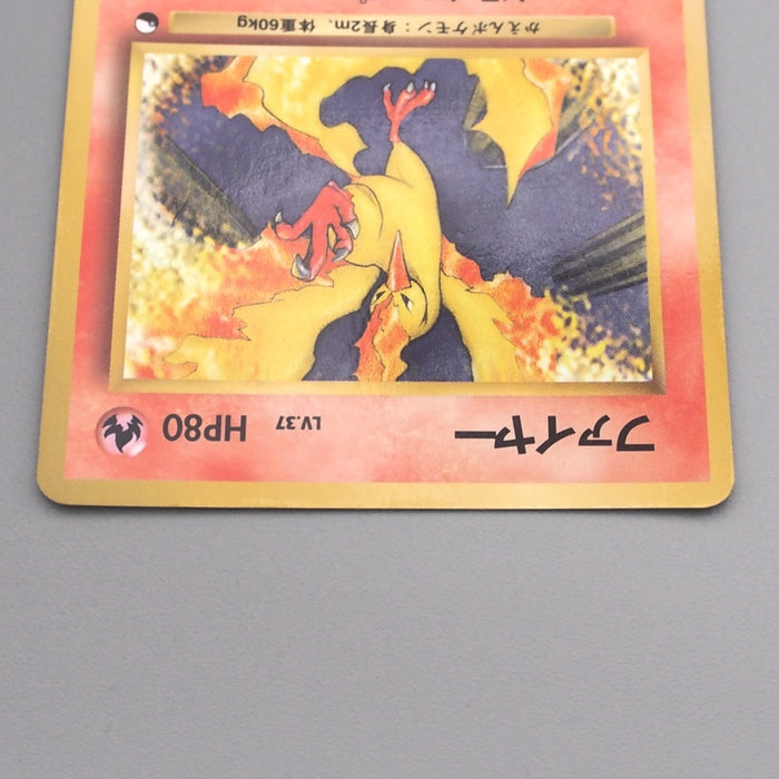 Pokemon Card Moltres Lv.37 No.146 Old Back Nintendo EX Japanese s704 | Merry Japanese TCG Shop