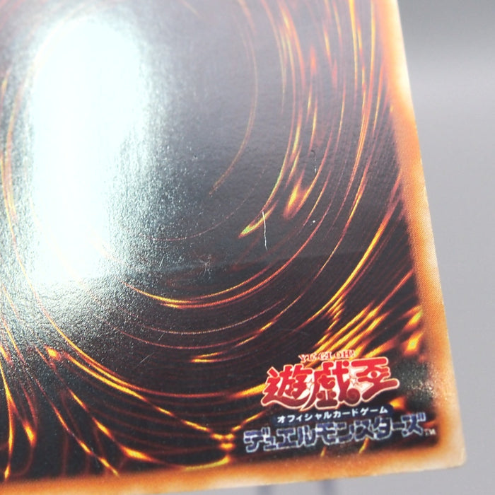 Image #11