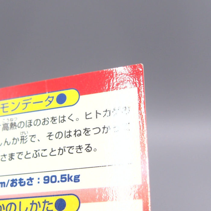 Image #12