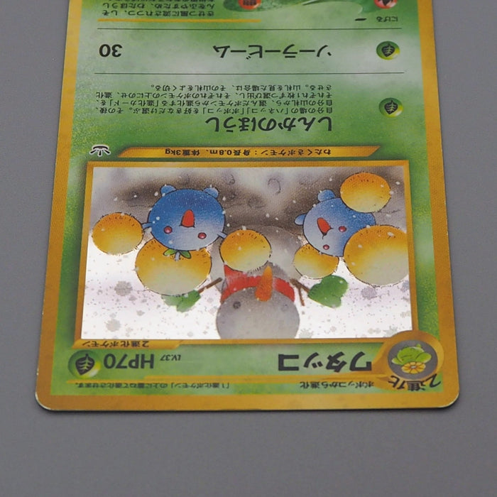 Pokemon Card Jumpluff Lv.37 No.189 Old Back Holo 2000 Nintendo EX Japanese q256 | Merry Japanese TCG Shop