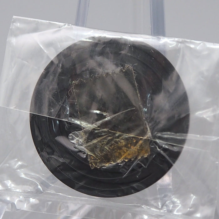 Pokemon Card Game Ho-Oh orange Coin Old Back NEW Japanese CN045 | Merry Japanese TCG Shop