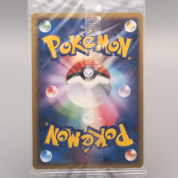 Pokemon Card PokePark's Munchlax 040/PCG-P Promo Sealed Unopened Japanese P363 | Merry Japanese TCG Shop