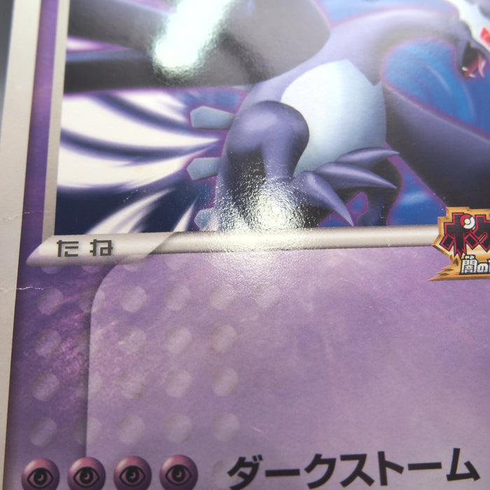 Image #13