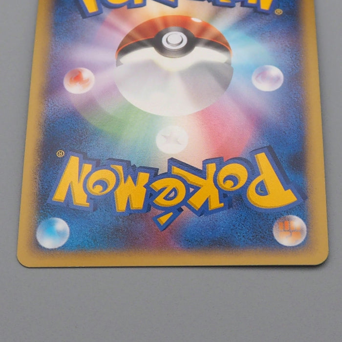 Pokemon Card Torterra Lv.51 DP Holo Rare 1st Edition 2007 MINT Japanese r433 | Merry Japanese TCG Shop