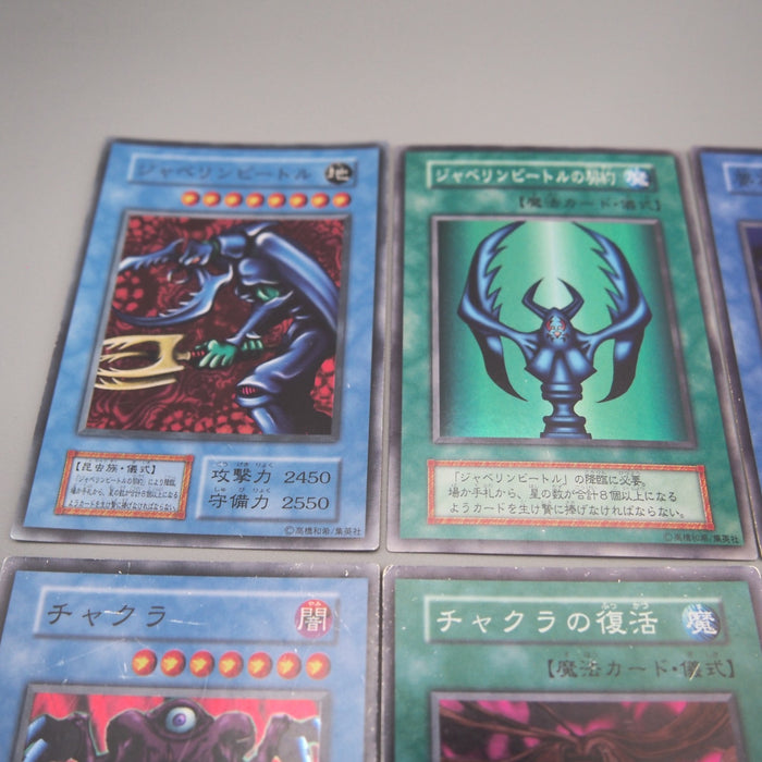 Image #13