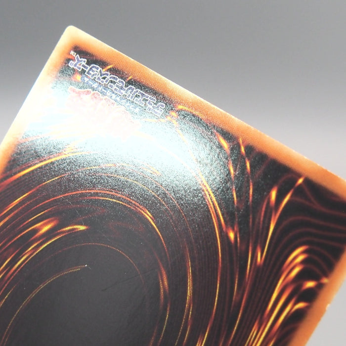 Image #11