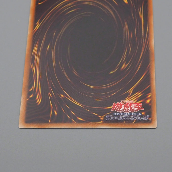 Yu-Gi-Oh Dark Rebellion Xyz Dragon NECH-JP053 Ghost Rare MINT Japanese q472 | Merry Japanese TCG Shop