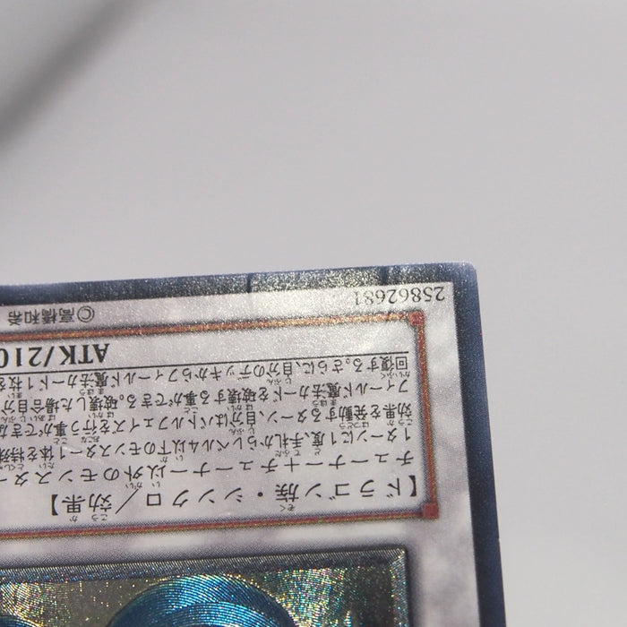 Image #8