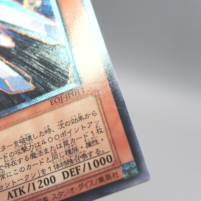 Image #8