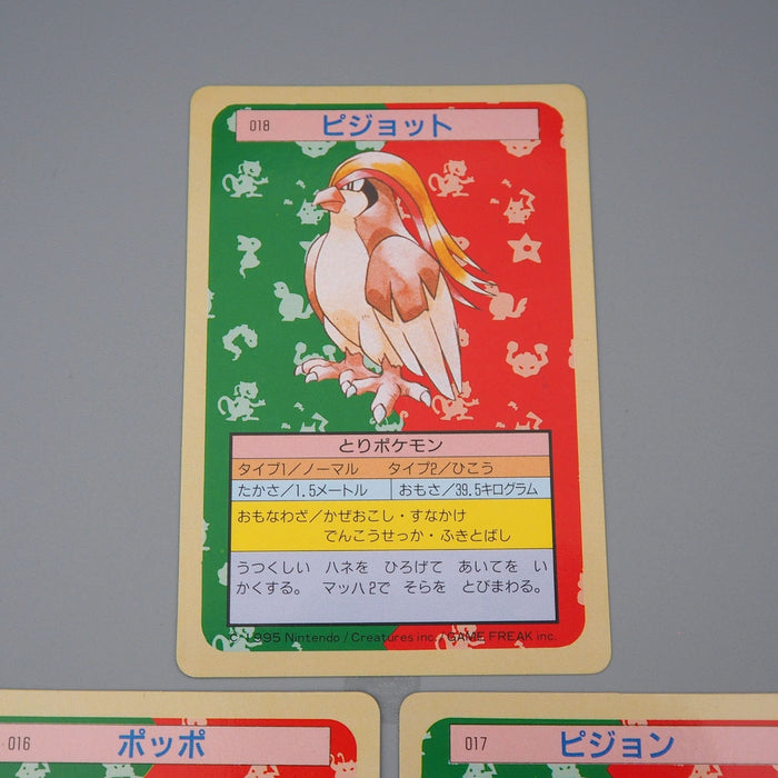 Pokemon Card Pidgeot Pidgeotto Pidgey 3 set Top Sun NM Green Back Japanese q964 | Merry Japanese TCG Shop