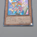 Yu-Gi-Oh Toon Dark Magician Girl BE02-JP207 Secret 2011 NM Japanese n939 | Merry Japanese TCG Shop