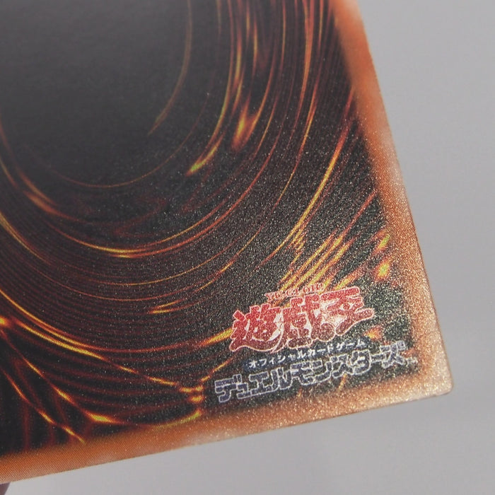 Image #13