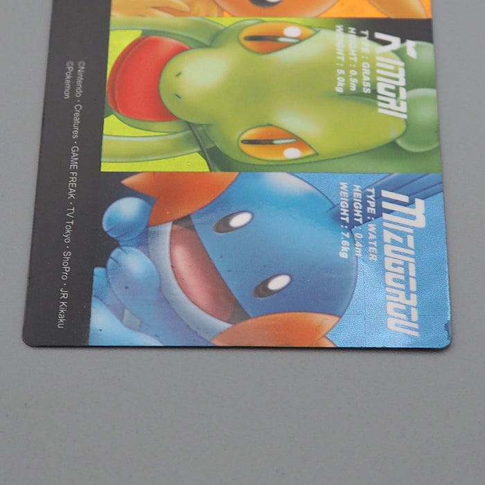 Pokemon Card Zukan Carddass Treecko Torchic Mudkip 05 Prism NM-EX Japanese n732 | Merry Japanese TCG Shop