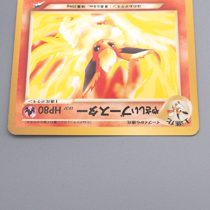 Pokemon Card Light Flareon Lv.37 No.136 Old Back Nintendo NM Japanese Pokemon Card Light Flareon Lv.37 No.136 Old Back Nintendo NM Japanese