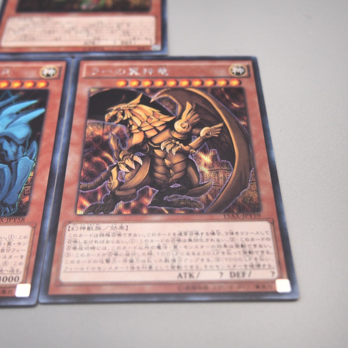 Image #5