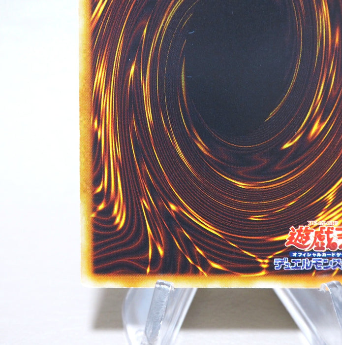 Image #10